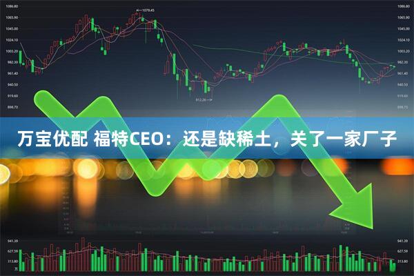 万宝优配 福特CEO：还是缺稀土，关了一家厂子
