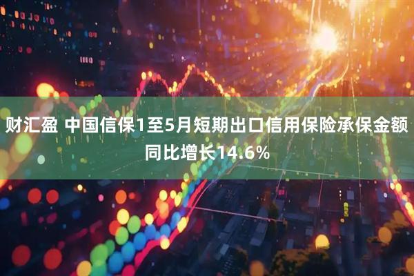 财汇盈 中国信保1至5月短期出口信用保险承保金额同比增长14.6%