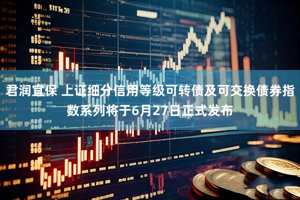 君润宜保 上证细分信用等级可转债及可交换债券指数系列将于6月27日正式发布