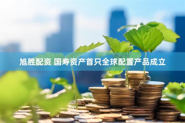 旭胜配资 国寿资产首只全球配置产品成立