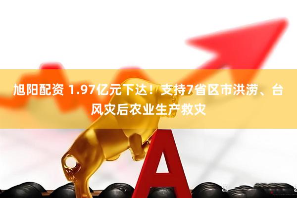 旭阳配资 1.97亿元下达！支持7省区市洪涝、台风灾后农业生产救灾