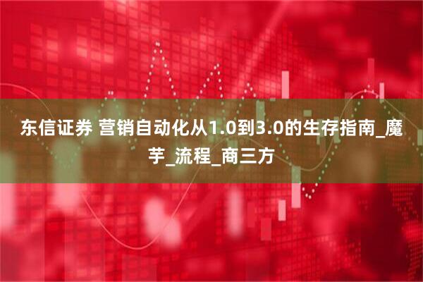 东信证券 营销自动化从1.0到3.0的生存指南_魔芋_流程_商三方