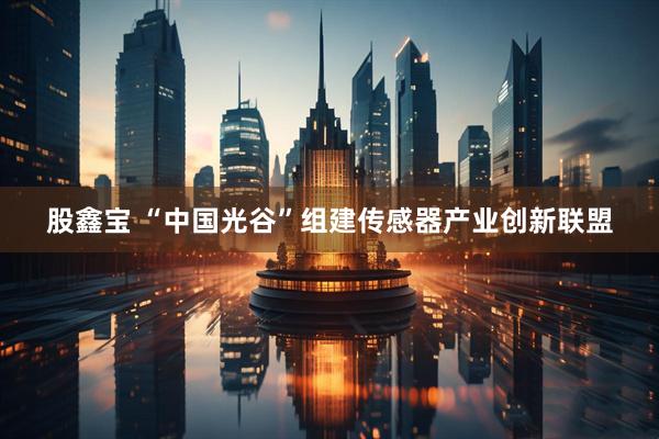 股鑫宝 “中国光谷”组建传感器产业创新联盟