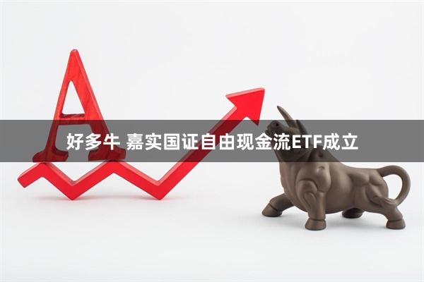 好多牛 嘉实国证自由现金流ETF成立